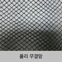 폴리 무결망
