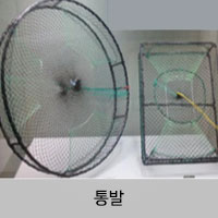 통발